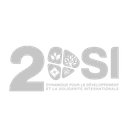 Logo 2DSI