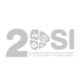 Logo 2DSI